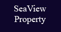 
    SeaView information